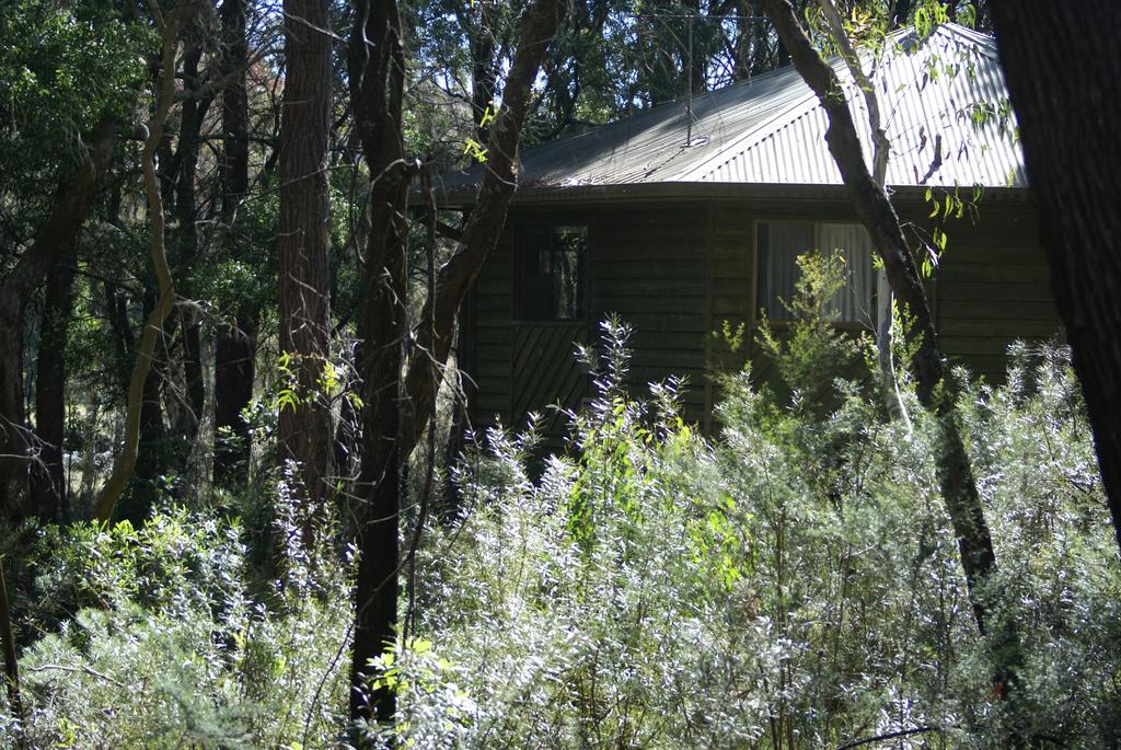 Fitzroy Falls NSW Accommodation Daintree
