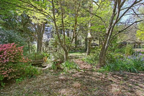 Until - Country Garden Setting - Accommodation Daintree 1