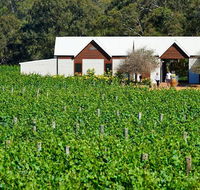 Upper Reach Spa Cottage - Accommodation Daintree