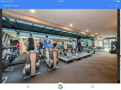 Upper West Side - Madison - Accommodation Daintree 2