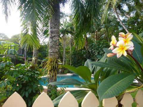 Villa Marine Holiday Apartments Cairns - Accommodation Daintree 1