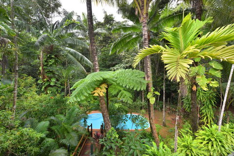 Wait A While Daintree - Accommodation Daintree 3