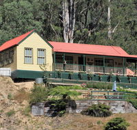 Walhalla Wild Cherry - Accommodation Daintree