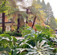 Warburton Motel - Accommodation Daintree