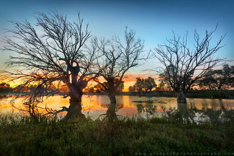 Warrawong On The Darling Wilcannia - Accommodation Daintree 3