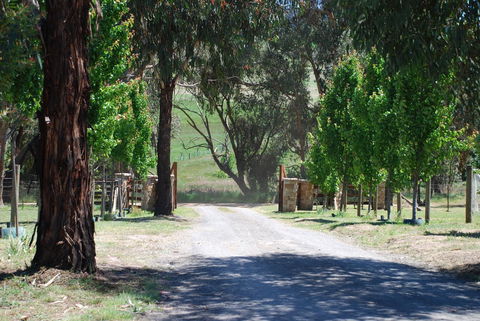 Bluegum Ridge Cottages - Accommodation Daintree 3