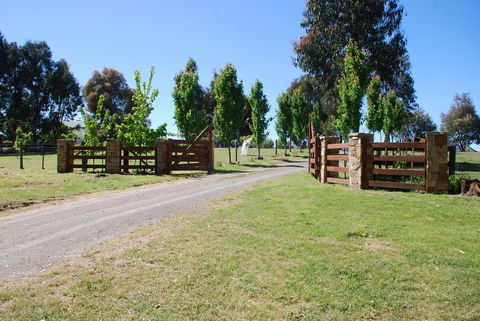 Bluegum Ridge Cottages - Accommodation Daintree 2