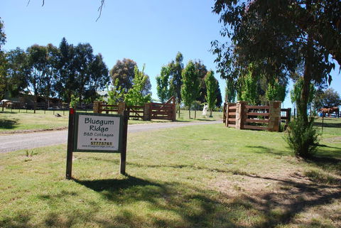 Bluegum Ridge Cottages - Accommodation Daintree 1