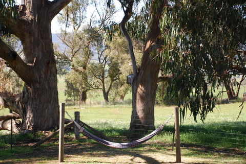 Bluegum Ridge Cottages - Accommodation Daintree 28