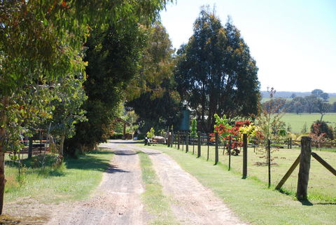 Bluegum Ridge Cottages - Accommodation Daintree 4