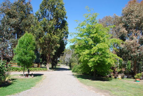 Bluegum Ridge Cottages - Accommodation Daintree 5