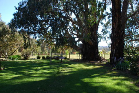 Bluegum Ridge Cottages - Accommodation Daintree 29