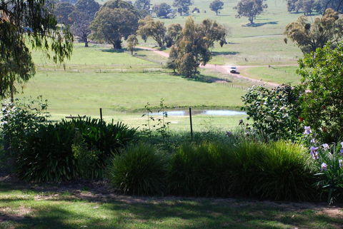 Bluegum Ridge Cottages - Accommodation Daintree 30