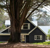 The Orchard - Accommodation Daintree