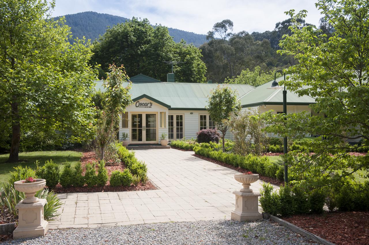 Warburton East VIC Accommodation Daintree