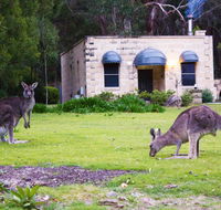 Marwood Luxury Villas - Accommodation Daintree