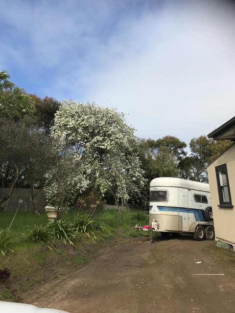 Hillâ€™s Creek Holiday Home - Accommodation Daintree 6