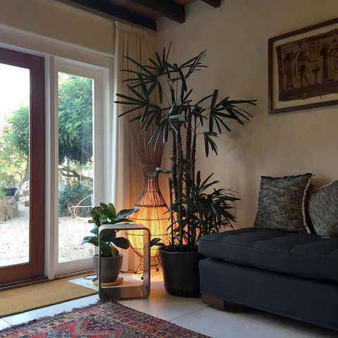 Be&be Castlemaine - Accommodation Daintree 1