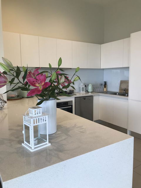 Lorne Sea View Terrace House - Accommodation Daintree 37