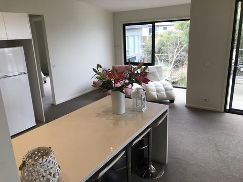 Lorne Sea View Terrace House - Accommodation Daintree 43