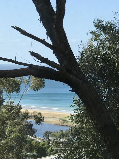 Lorne Sea View Terrace House - Accommodation Daintree 12