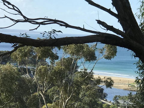 Lorne Sea View Terrace House - Accommodation Daintree 10