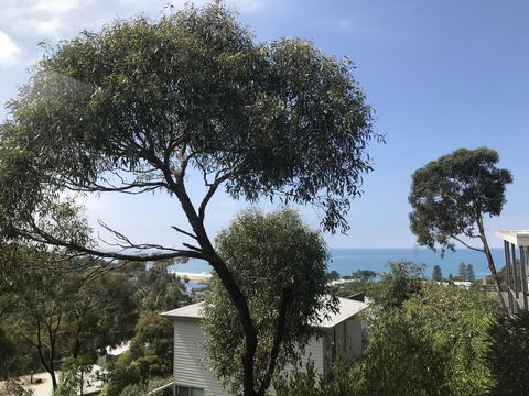 Lorne Sea View Terrace House - Accommodation Daintree 26