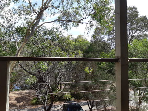 Elevated Holiday House Overlooks Tranquil Wetlands - Accommodation Daintree 10