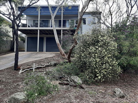 Elevated Holiday House Overlooks Tranquil Wetlands - Accommodation Daintree 0