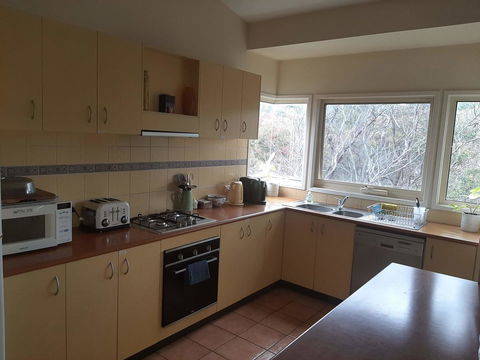 Elevated Holiday House Overlooks Tranquil Wetlands - Accommodation Daintree 2