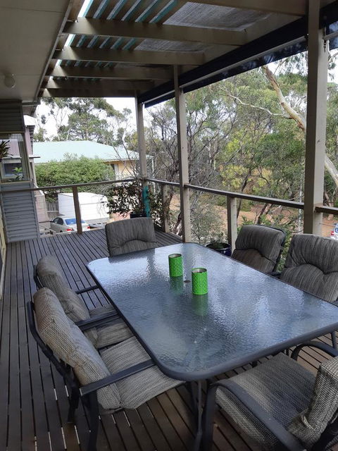 Elevated Holiday House Overlooks Tranquil Wetlands - Accommodation Daintree 9