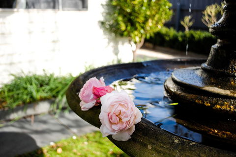 Bed Of Roses - Accommodation Daintree 35