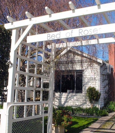 Bed Of Roses - Accommodation Daintree 30