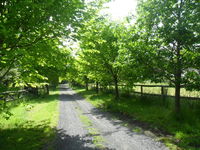 Book Wonga Park Accommodation Vacations Accommodation Daintree Accommodation Daintree