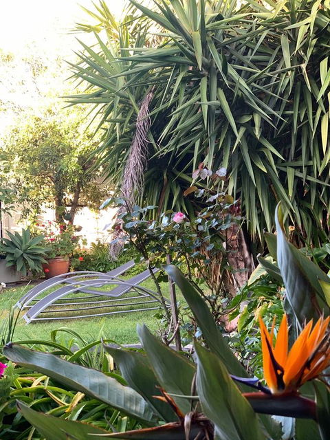 Sunryes Beach House - Accommodation Daintree 32