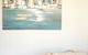 Sunryes Beach House - thumb 10