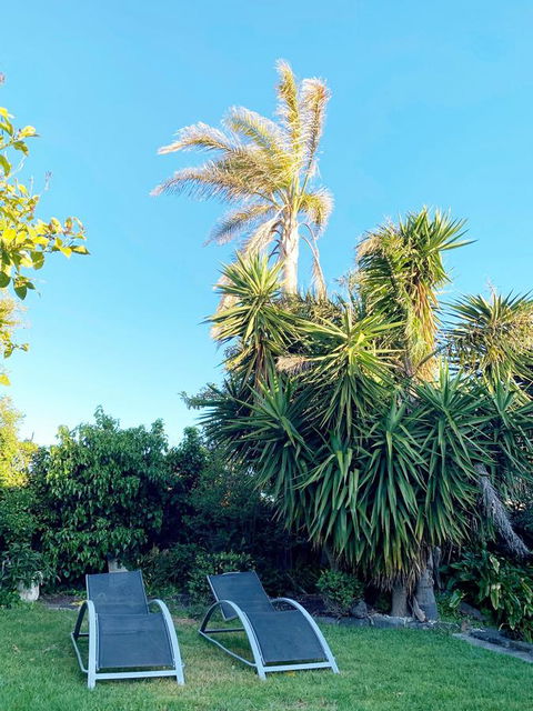 Sunryes Beach House - Accommodation Daintree 31