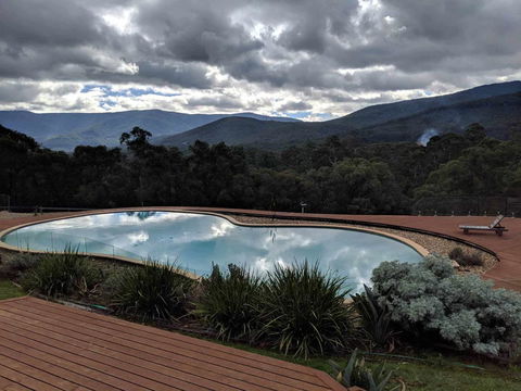 Kangaroo Manor - Accommodation Daintree 7