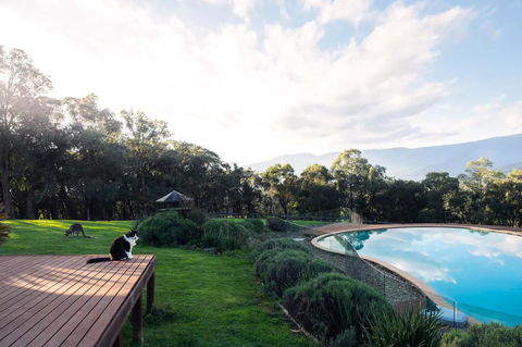 Kangaroo Manor - Accommodation Daintree 23