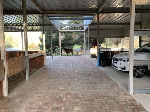 Kangaroo Manor - Accommodation Daintree 1