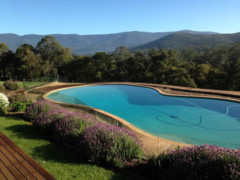 Kangaroo Manor - Accommodation Daintree 14