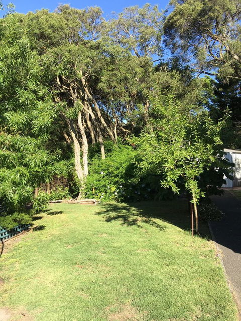 Nest On A Crest - Accommodation Daintree 35