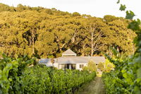Book Red Hill Accommodation Vacations Accommodation Daintree Accommodation Daintree