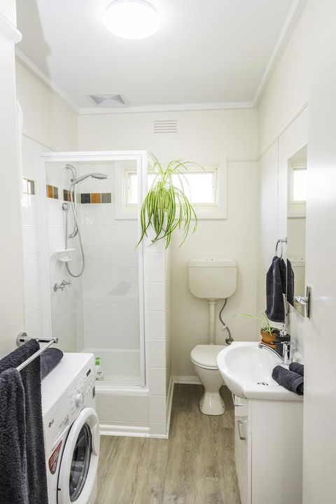 Bacchus Centro - Accommodation Daintree 6