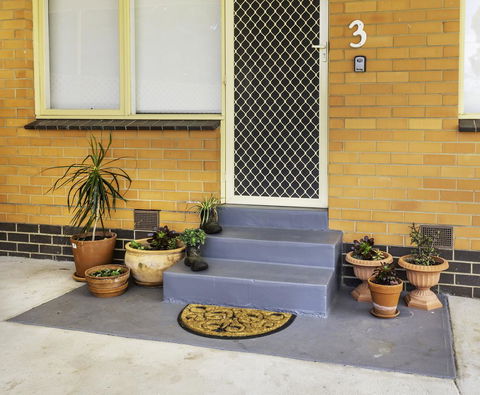 Bacchus Centro - Accommodation Daintree 8