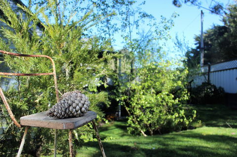 Cottage 4A - Accommodation Daintree 13