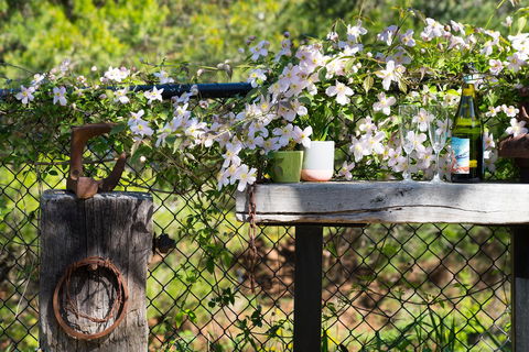 Cottage 4A - Accommodation Daintree 4
