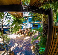 Cool Bananas Backpackers - Accommodation Daintree