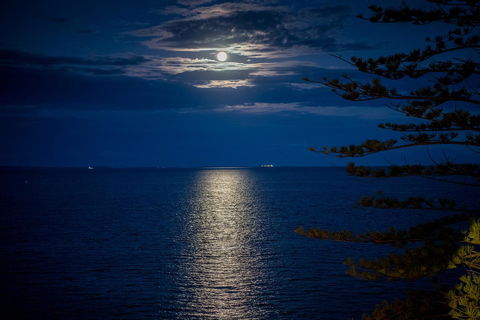 The Sebel Brisbane Margate Beach - Accommodation Daintree 31