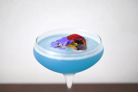 The Sebel Brisbane Margate Beach - Accommodation Daintree 18